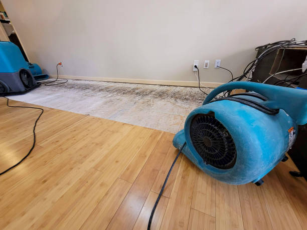 Reliable Basement Flood Cleanup contractor in Faith, NC by Hirex Water Damage