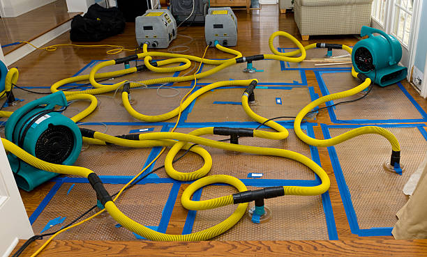 Professional Basement Flood Cleanup technician working in Faith, NC